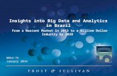 Frost & Sullivan: Insights into Big Data and Analytics in Brazil