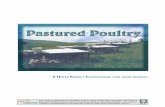 Pastured Poultry: An HI Case Study Booklet