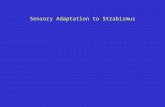 Sensory Adaptation to Strabismus