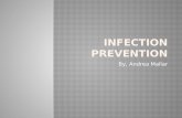 Andrea mallar's presentation on infection prevention
