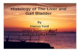 Histology of the liver and gall bladder [compatibility mode]