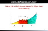 5 New (& a Little Crazy) Ways To Align Sales & Marketing Webinar Slides