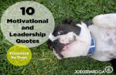 10 Motivational and Leadership Quotes - Presented by Dogs