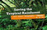 Sec 1 - All About Geography - Chapter 3 - Tropical Rainforests