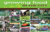 Growing Food in the City