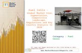 Fuel Cells: Global Market Size, Segmentation, Competitive Landscape, Regulations and Key Country Analysis to 2020