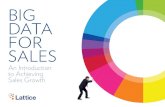 Big Data for Sales