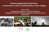 Vaccines against East Coast fever: Re-assessment of p67C and identification of new antigens
