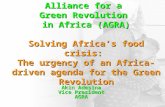 Solving Africa’s food crisis: The urgency of an Africa-driven agenda for the Green Revolution