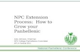 NPC Extension