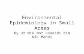 Environmental Epidemiology in Small areas