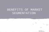 market segmentation benefits