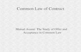 Common Law Contract: Offers