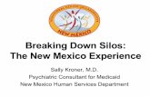 Breaking Down Silos: The New Mexico Experience