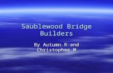 Saublewood Bridge Builders By Chris And Autumn