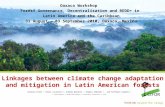 Linkages between climate change adaptation and mitigation in Latin American forests