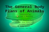The general body plans of animals. biology