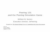Peering 101 and the peering simulation game