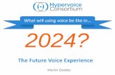 Future voice experience 2024