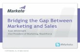 Bridging the Gap Between Marketing and Sales