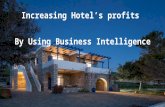 Increasing hotel's profits by using Business Intelligence