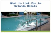What to Look For in Orlando Hotels
