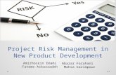 Npd presentation file   risk management