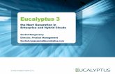 Eucalyptus 3: The Next Generations in Enterprise and Hybrid Clouds