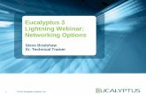 Eucalyptus 3 Networking Options - Lightning Webinar Series #4