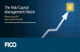 The Risk / Capital management Matrix
