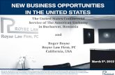 New business opportunities in the us   romania