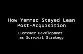 How Yammer Stayed Lean Post-Acquisition: Customer Development as Survival Strategy