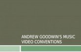 Andrew godwin music video conventions