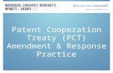 Patent Cooperation Treaty (PCT)- PCT How to Amend the Application as well as Respond to the Search Report and Written Opinion