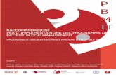 Patient blood management - CNS Roma 2015