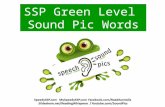 SSP Green Level Speech Sound Pic Words