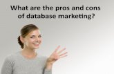 What are the pros and cons of database marketing