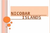 Biodiversity of Nicobar Islands
