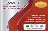 Case studies   wsi wisdom book 2011- uk and europe