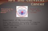 Hpv And Cervical Cancer