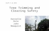 Tree Trimming Safety Update MI 2015