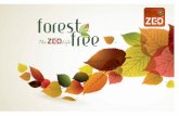 ZED ForestFree - Opulence and the joy of responsible buying