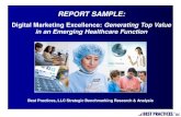 Digital Marketing Excellence: Generating Top Value in an Emerging Healthcare Function