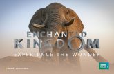 BBC Enchanted Kingdom: Experience the Wonder (free set of project based learning resources)