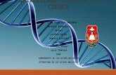 Estructura de Los Acidos Nucleicos . Grupo 1 (2)