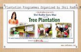 Tree Plantation Programmes Organized by Shri Radhe Maa