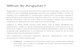 Angular Js Dev Guide