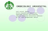 Embriologi Urogenital