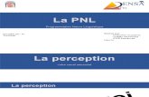 La Perception PNL
