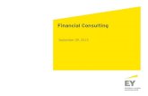 Financial Consulting Overview